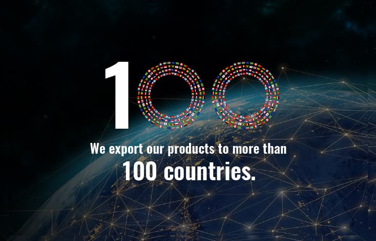 100 PRODUCTS HISTORY